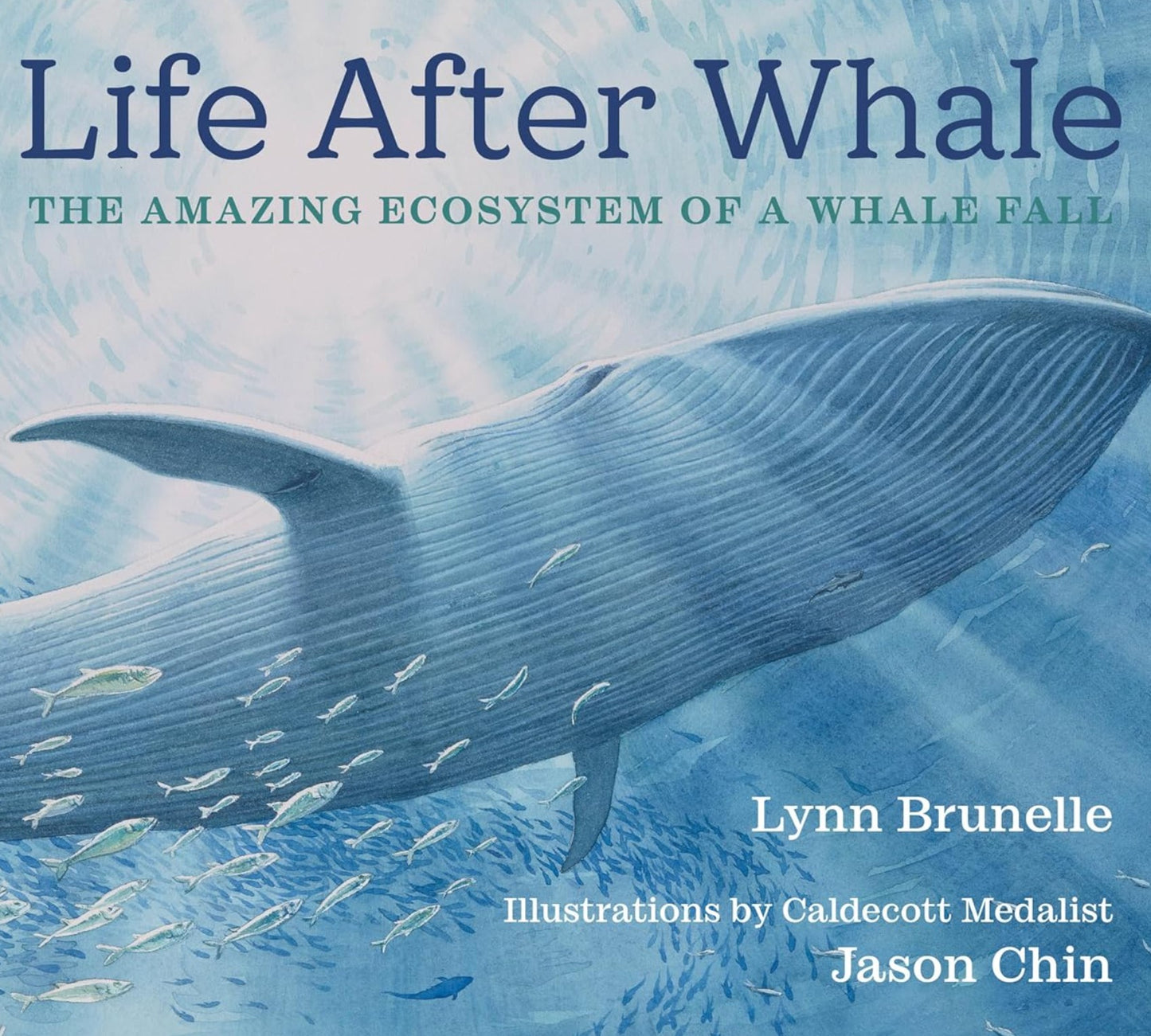 Life After Whale